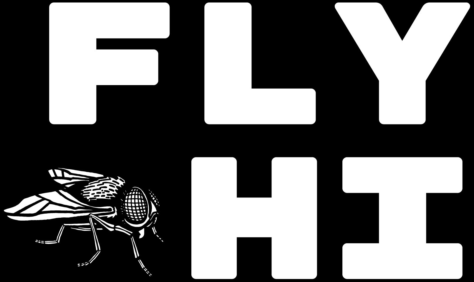 FlyHi Studio España