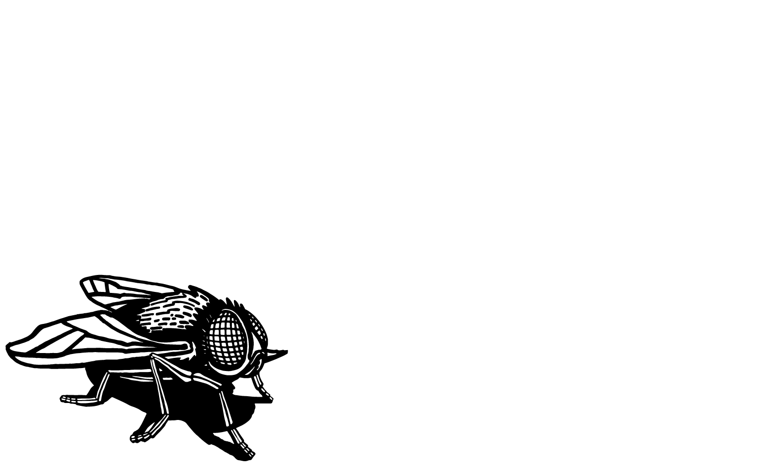 FlyHi Studio España